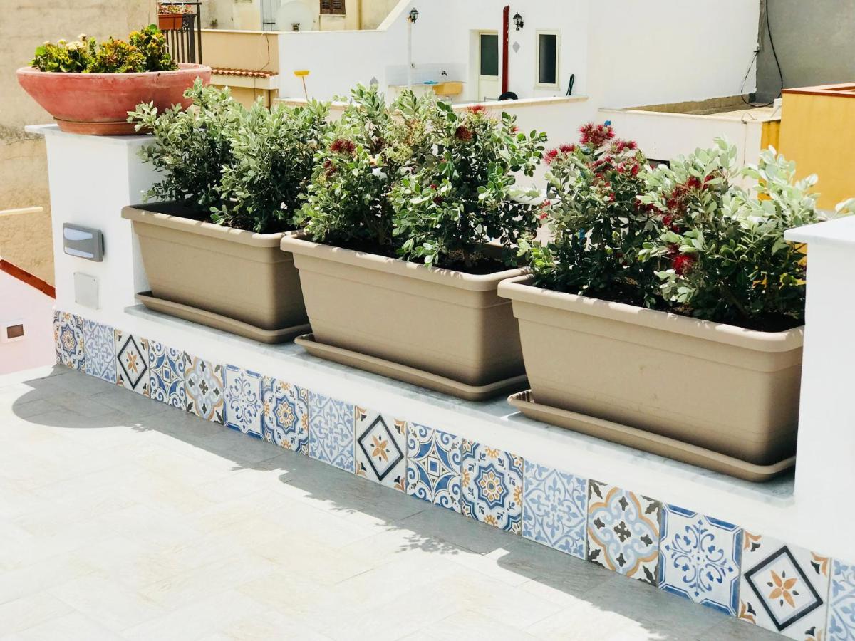 Fiori D'Arancio Apartment Terrasini Ngoại thất bức ảnh